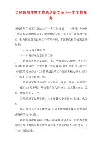 区民政局年度工作总结范文及下一步工作规划