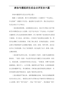 参加专题组织生活会点评发言六篇