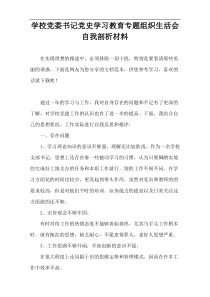 学校党委书记党史学习教育专题组织生活会自我剖析材料