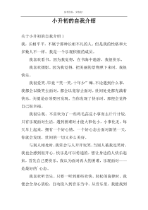 小升初的自我介绍