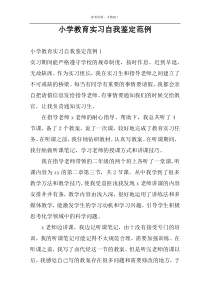 小学教育实习自我鉴定范例