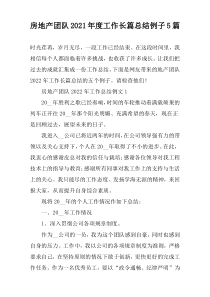 房地产团队2022年度工作长篇总结例子5篇