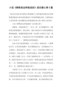 小说《钢铁是怎样炼成的》读后感心得5篇