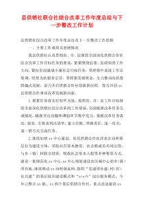 县供销社联合社综合改革工作最新年度总结与下一步整改工作计划