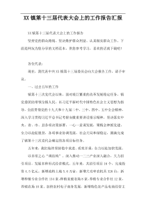 XX镇第十三届代表大会上的工作报告汇报