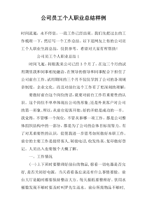 公司员工个人职业总结样例