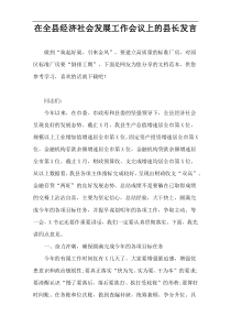 在全县经济社会发展工作会议上的县长发言