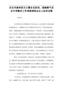 在全市森林防灭火暨安全防范、城镇燃气安全专项整治工作视频调度会议上的讲话稿