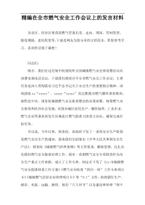 精编在全市燃气安全工作会议上的发言材料