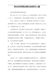 保安试用期业绩总结报告九篇