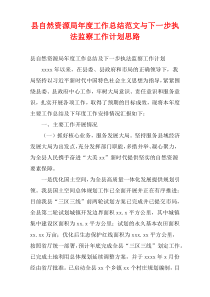 县自然资源局新编年度工作总结范文与下一步执法监察工作计划思路