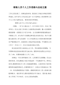 销售人员个人工作思路与总结五篇