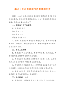 集团分公司专家岗位内部竞聘公告