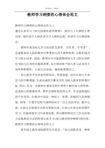 教师学习纲要的心得体会范文