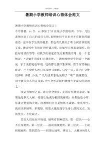 暑期小学教师培训心得体会范文