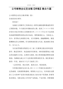 公司销售会议发言稿【样稿】集合六篇