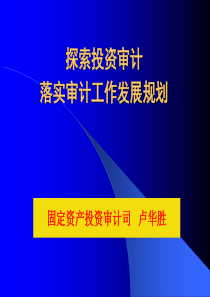 1101探索投资审计落实审计工作发展规划-卢华胜