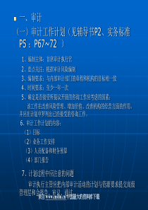 aag_审计工作计划(ppt 14)