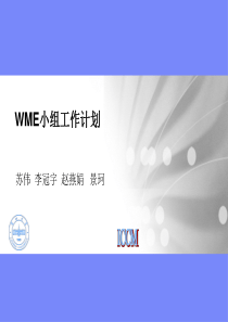 WME小组工作计划