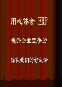 ERP培训(PPT)