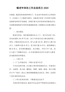 镇老年体协工作总结范文2020