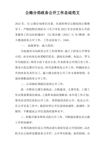 公路分局政务公开工作总结范文