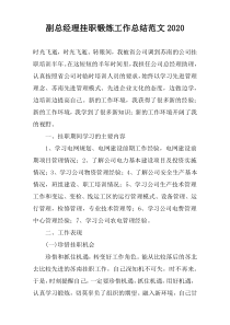 副总经理挂职锻炼工作总结范文2020