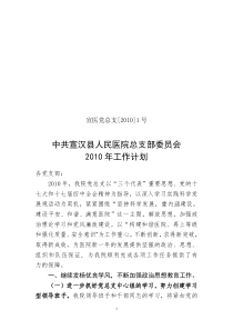 中共宣汉县人民医院总支部委员XXXX年工作计划