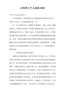 公司员工个人总结2020