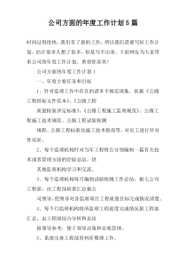 公司方面的年度工作计划5篇