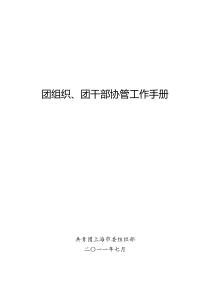 共青团团组织、团干部协管工作手册