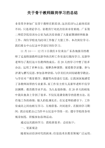 关于骨干教师跟岗学习的总结