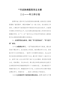 医院党总支委XXXX工作计划