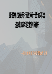 1建设单位使用行政审计结论不当（PPT30页)