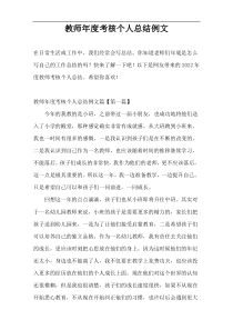 教师年度考核个人总结例文