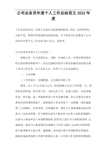 公司业务员年度个人工作总结范文2022年度