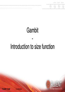 Gambit教育训练-Size_Function