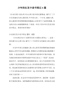 少年的红发卡读书笔记4篇