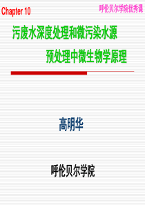 113第十章污、废水深度处理和微污染水源预处理中微