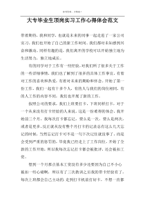 大专毕业生顶岗实习工作心得体会范文