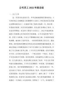 公司员工2022年度总结