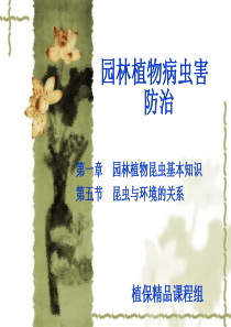 14昆虫与环境的关系