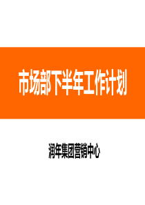 市场部下半年工作计划（PPT36页)