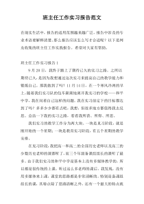 班主任工作实习报告范文