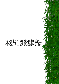 1环境法