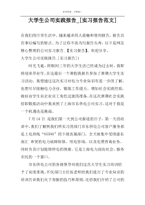 大学生公司实践报告_[实习报告范文]