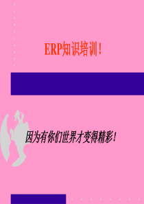 ERP培训之金蝶K3