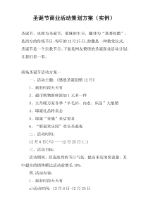 圣诞节商业活动策划方案（实例）