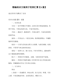 精编培训方案例子范例汇聚【4篇】