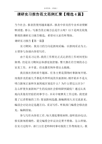 调研实习报告范文范例汇聚【精选4篇】